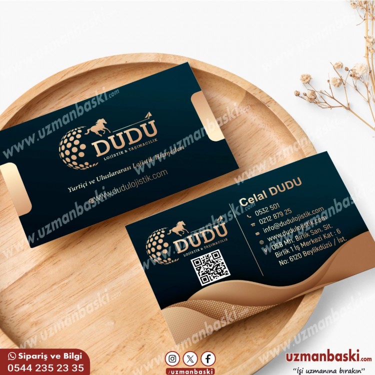 Lojistik Kartvizit – Kurumsal ve Taşıma Odaklı Tasarım Lojistik, nakliye ve taşımacılık şirketi için kartvizit tasarımı örneği