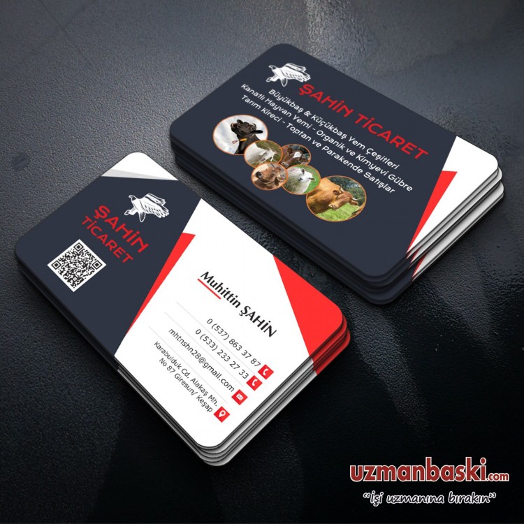 Hayvancılık, Besicilik, Kurbanlık Kartvizit Örnekleri